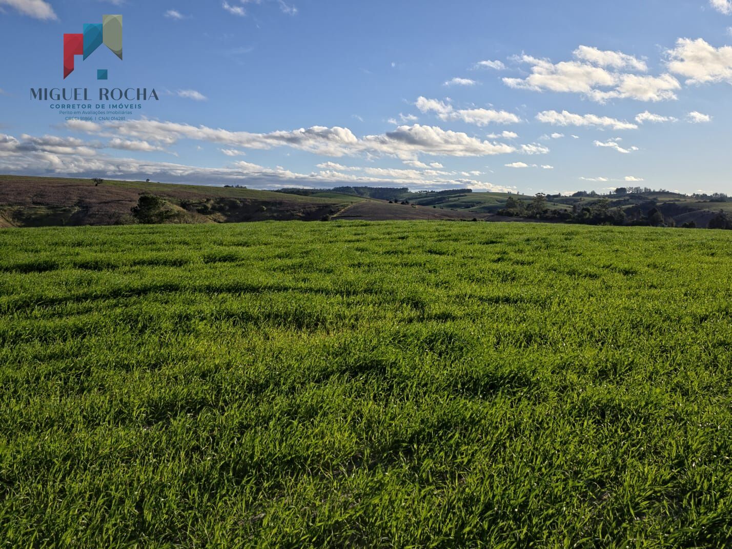 Fazenda à venda com 2 quartos - Foto 18