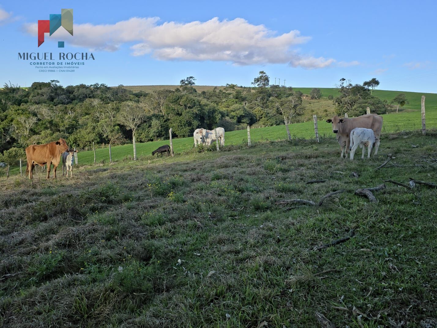Fazenda à venda com 2 quartos - Foto 14