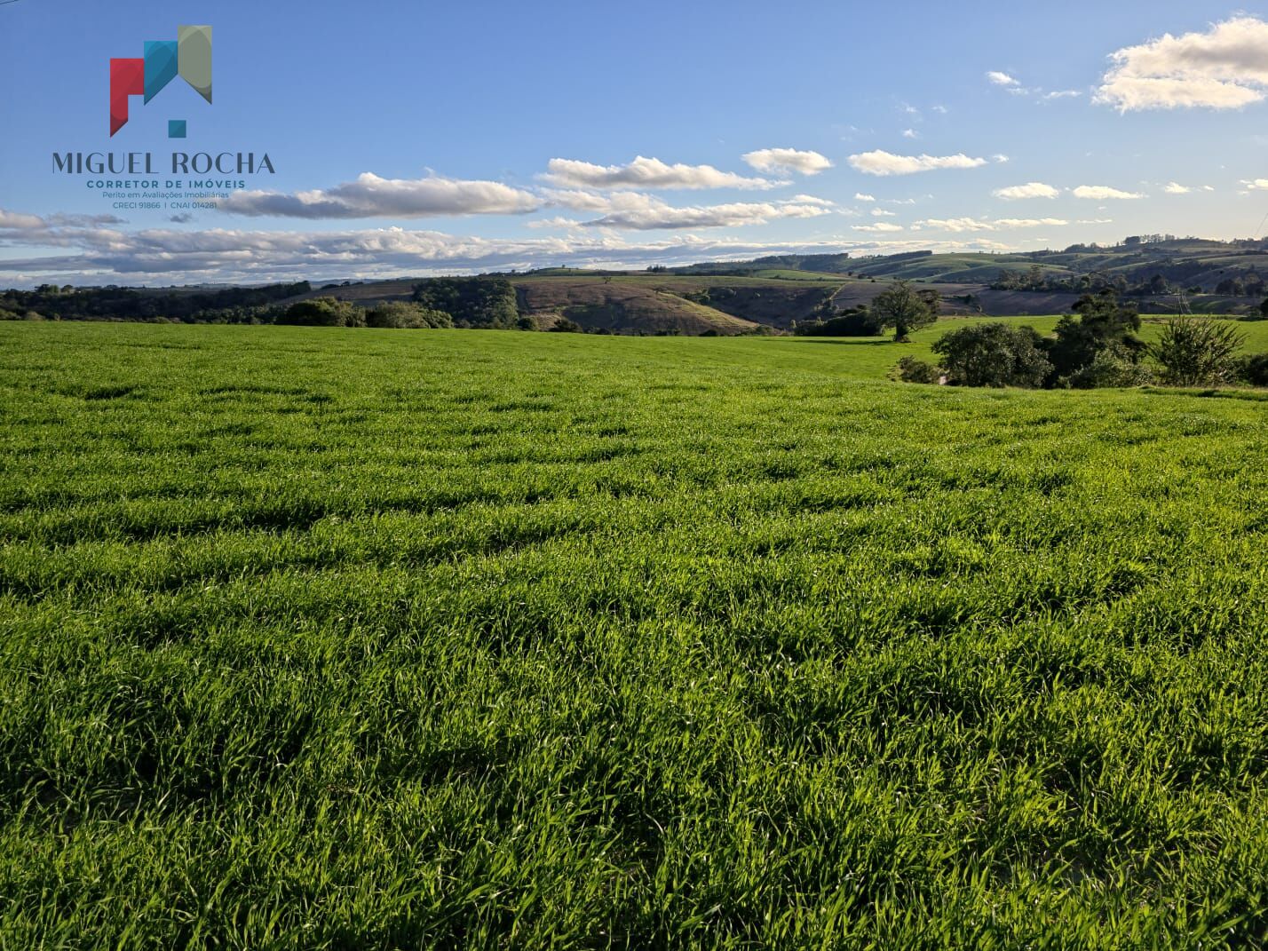 Fazenda à venda com 2 quartos - Foto 16