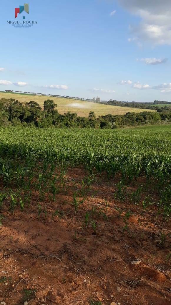 Fazenda à venda com 2 quartos, 484000m² - Foto 1