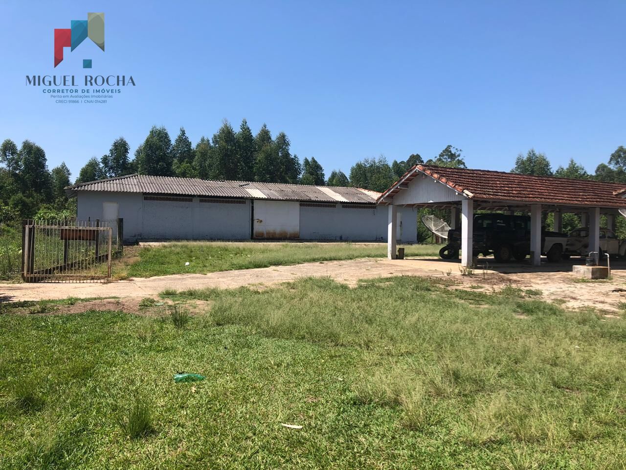 Fazenda à venda com 1 quarto, 1500400m² - Foto 3