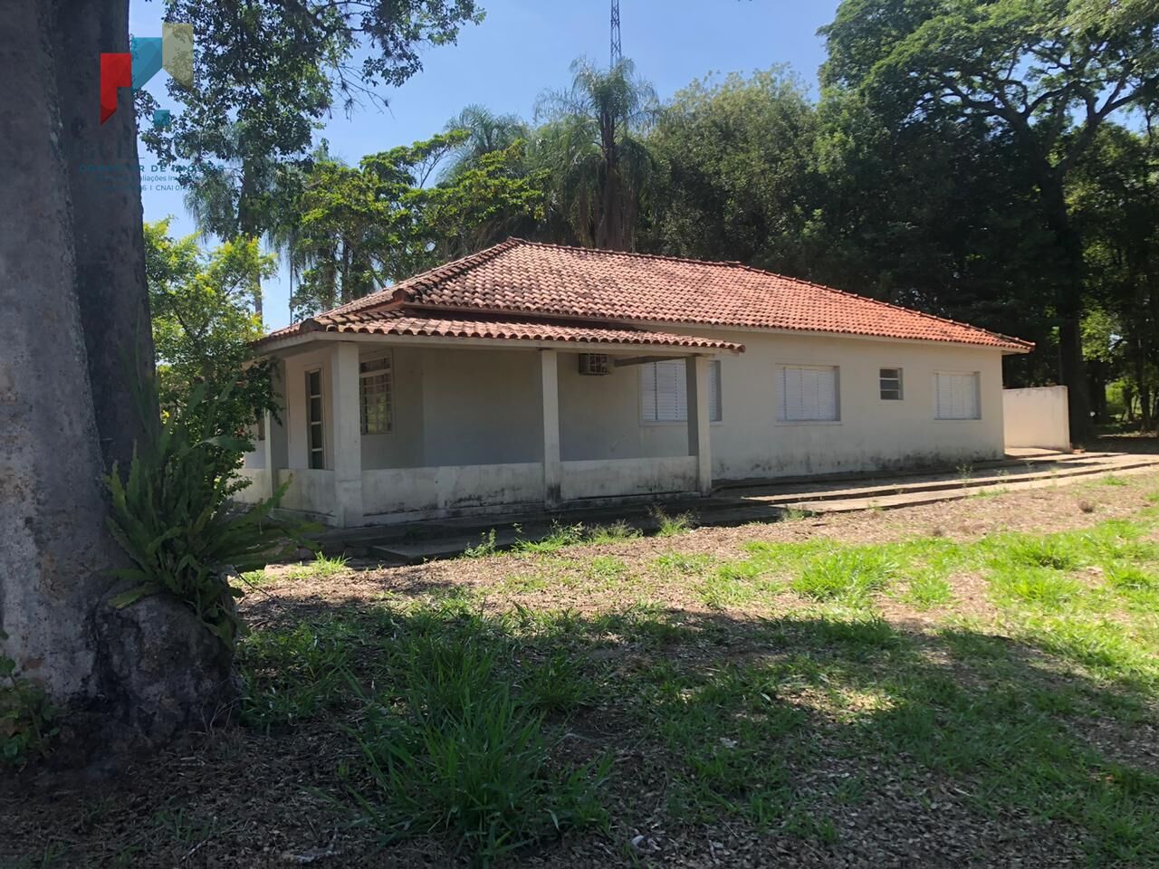 Fazenda à venda com 1 quarto, 1500400m² - Foto 5