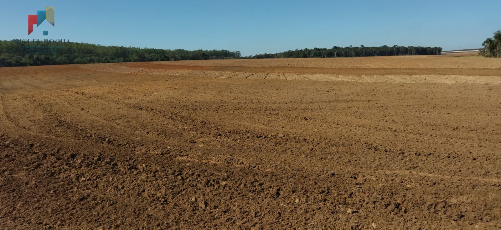 Fazenda à venda com 1 quarto, 1500400m² - Foto 2