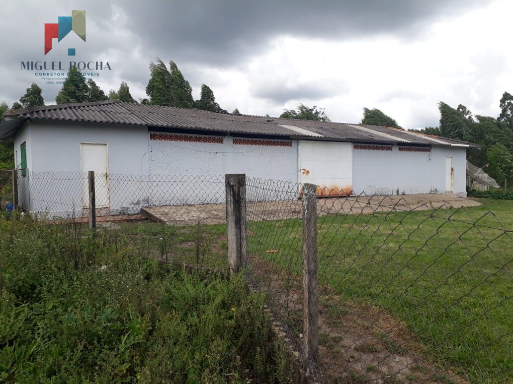 Fazenda à venda com 1 quarto, 1500400m² - Foto 6