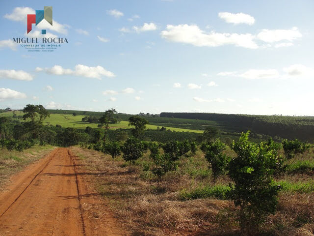 Fazenda à venda com 2 quartos, 4114000m² - Foto 4