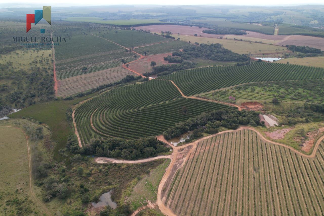 Fazenda à venda com 2 quartos, 4114000m² - Foto 3