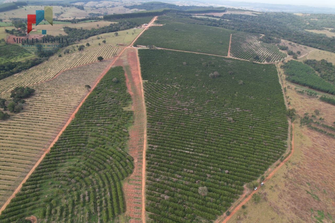 Fazenda à venda com 2 quartos, 4114000m² - Foto 2