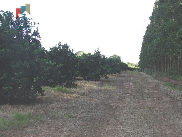 Fazenda à venda com 2 quartos, 4114000m² - Foto 6