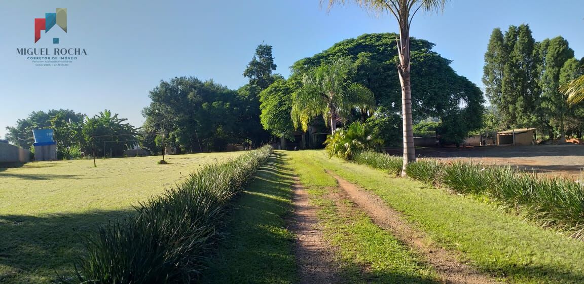 Fazenda à venda com 3 quartos, 6000m² - Foto 4