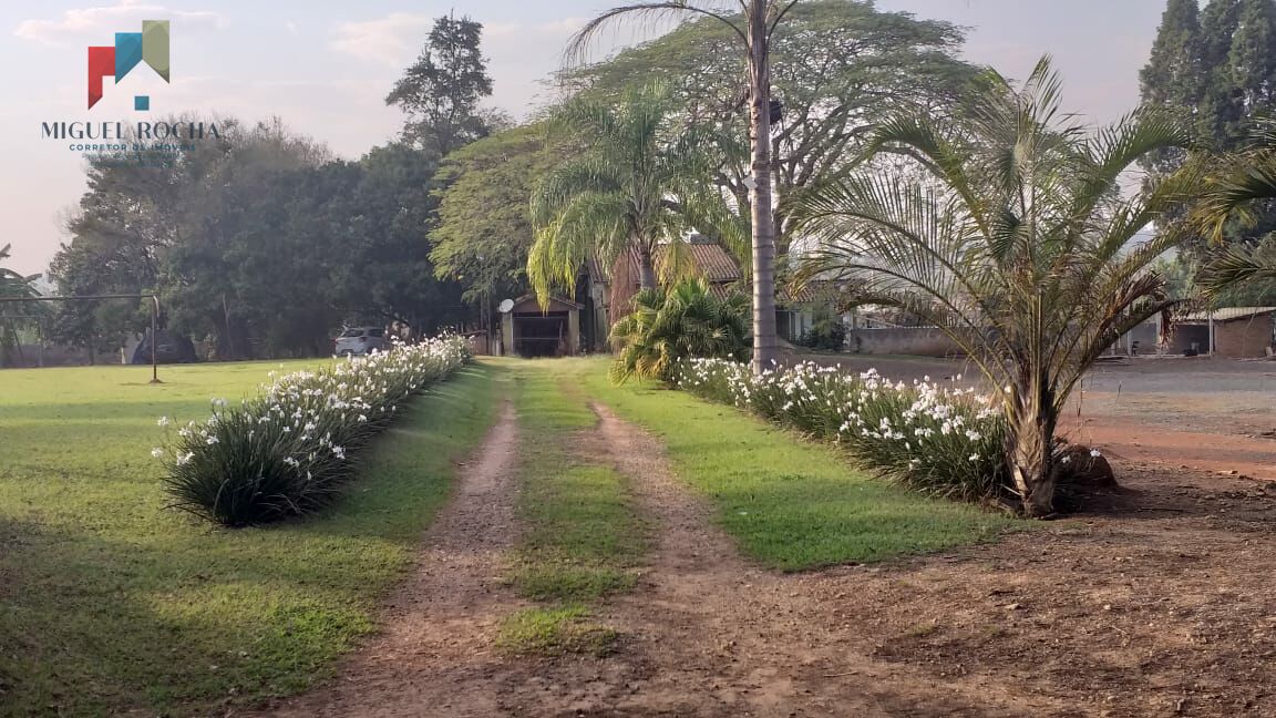 Fazenda à venda com 3 quartos, 6000m² - Foto 5