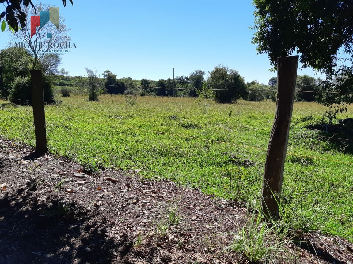 Fazenda à venda com 3 quartos, 6000m² - Foto 17