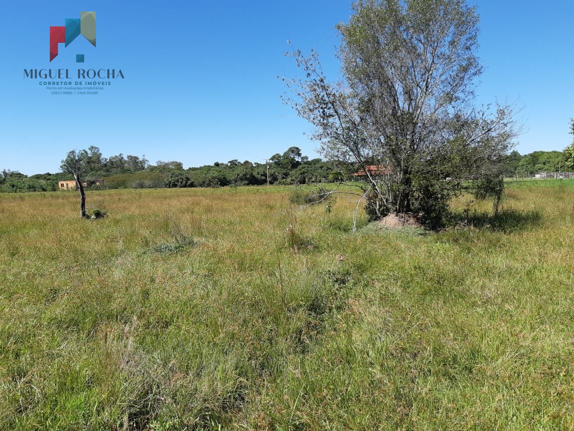 Fazenda à venda com 3 quartos, 6000m² - Foto 18