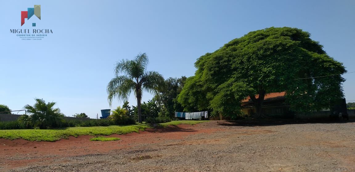 Fazenda à venda com 3 quartos, 6000m² - Foto 13