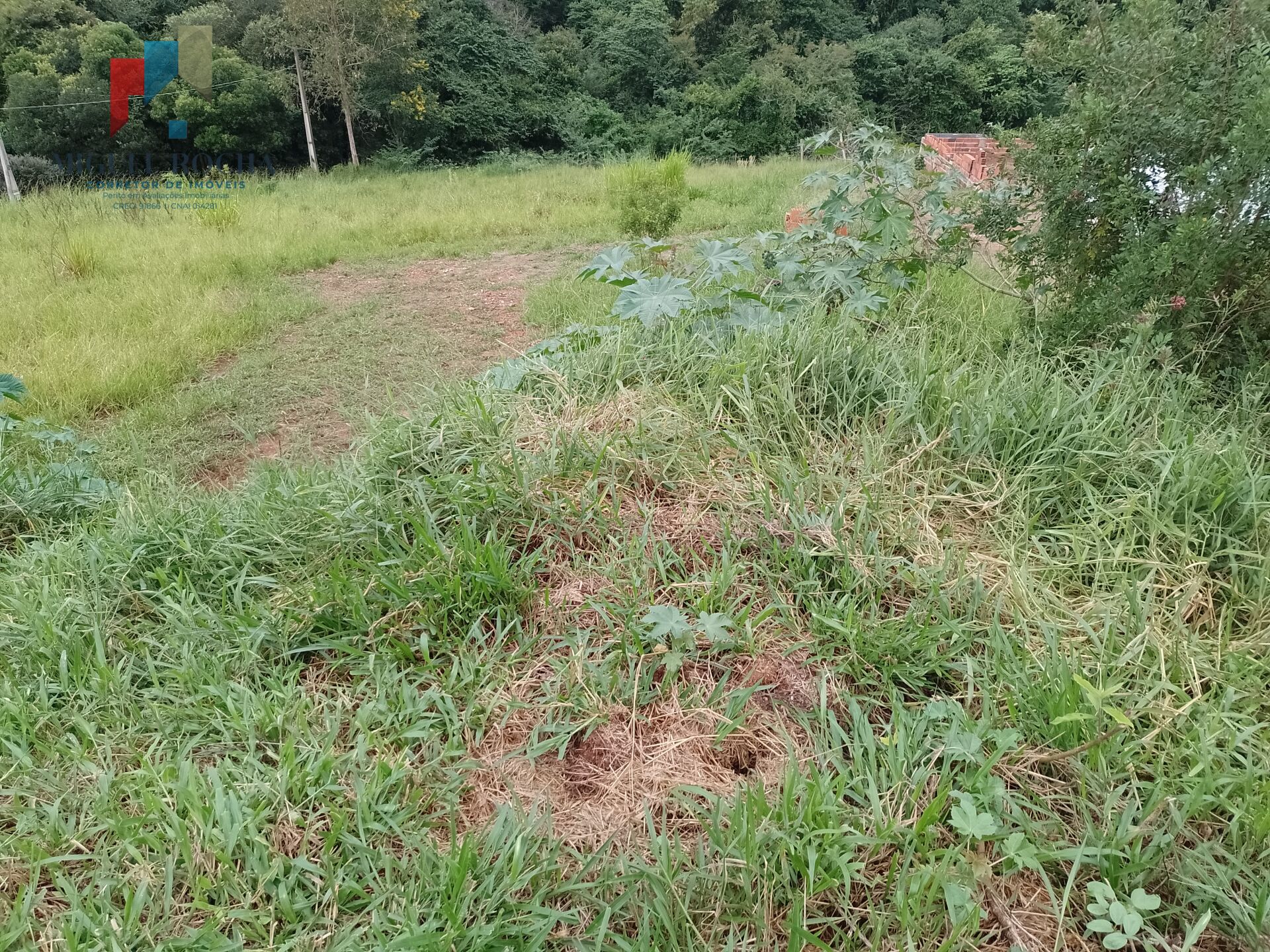 Terreno à venda, 7000m² - Foto 10