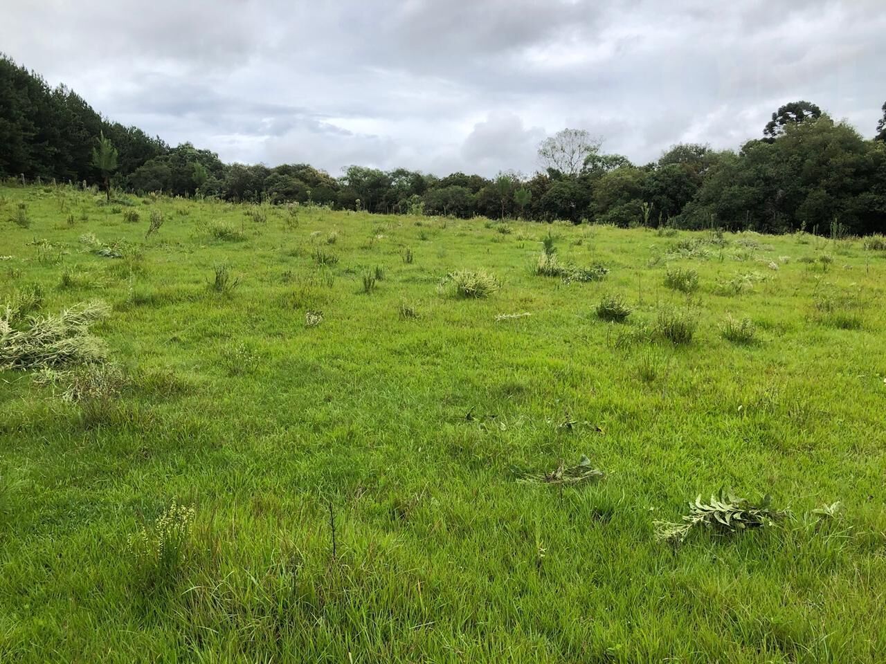 Chácara de 96800m² no bairro Rural, em Ponte Alta | Eu Corretor