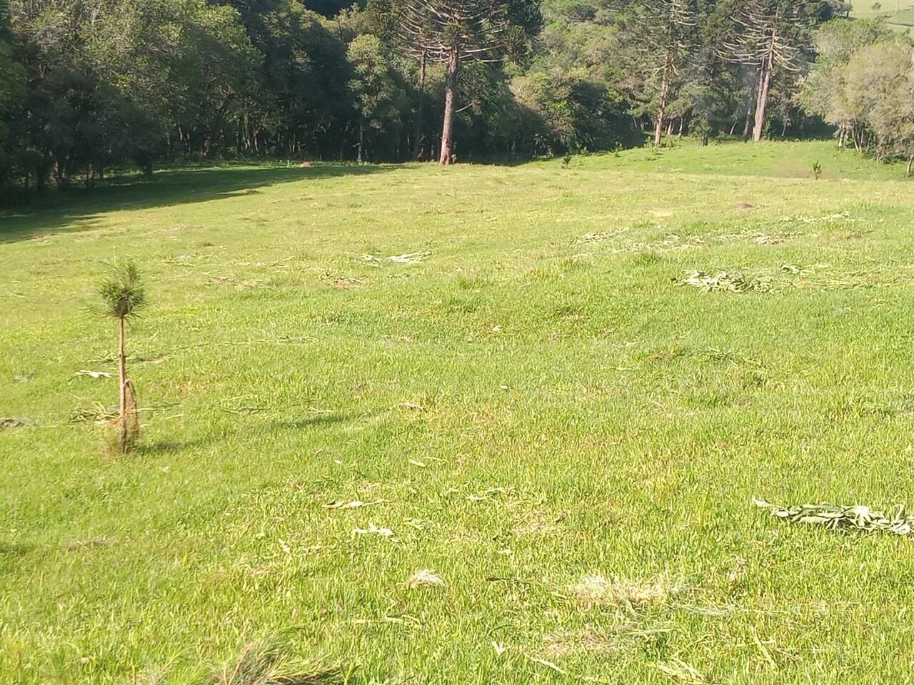 Chácara de 96800m² no bairro Rural, em Ponte Alta | Eu Corretor