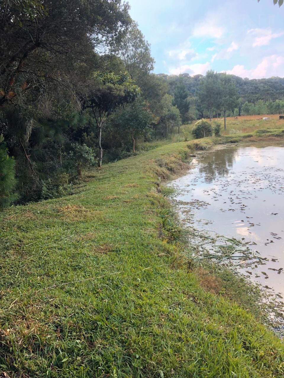 Chácara de 96800m² no bairro Rural, em Ponte Alta | Eu Corretor