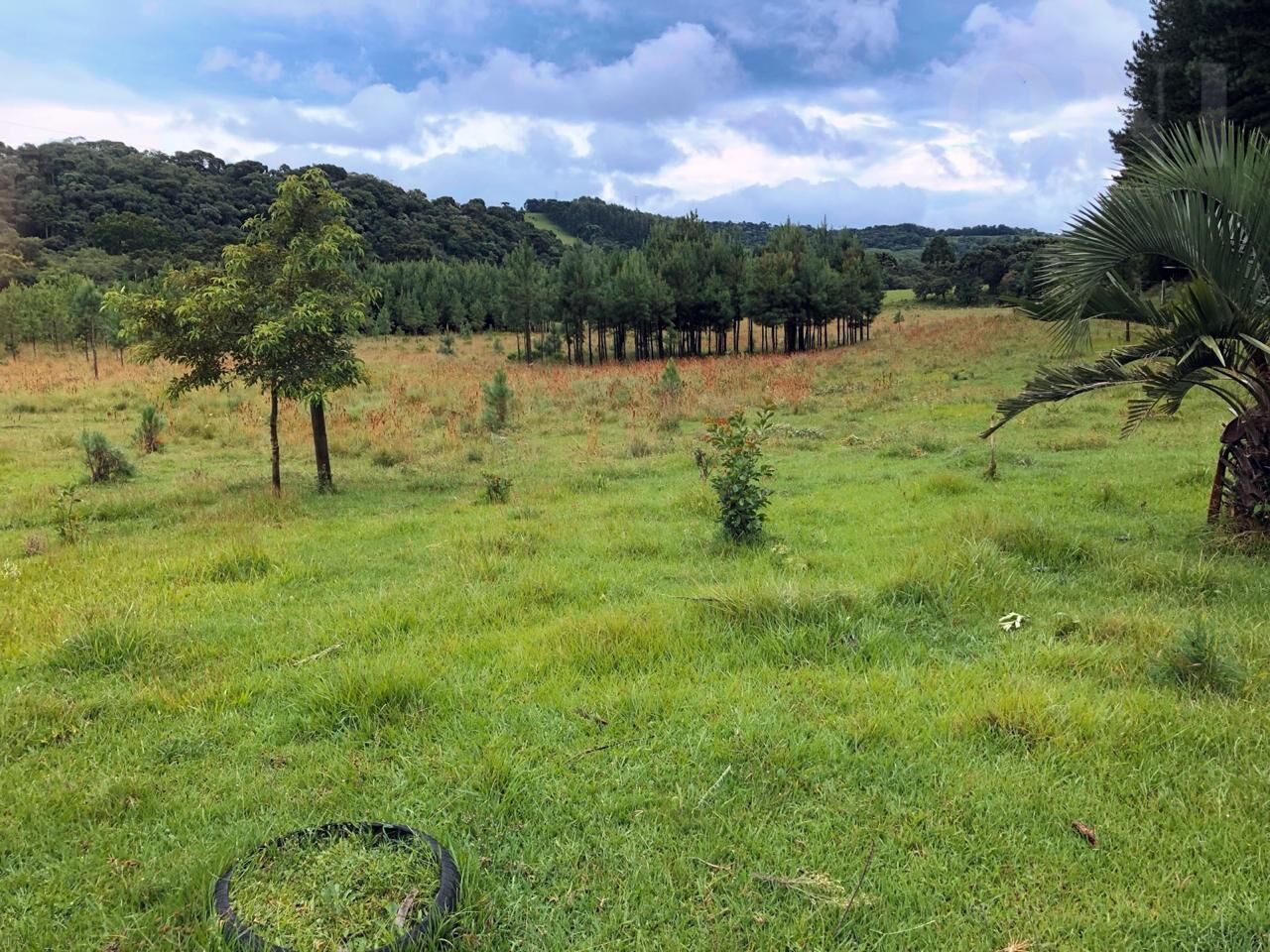 Chácara de 96800m² no bairro Rural, em Ponte Alta | Eu Corretor
