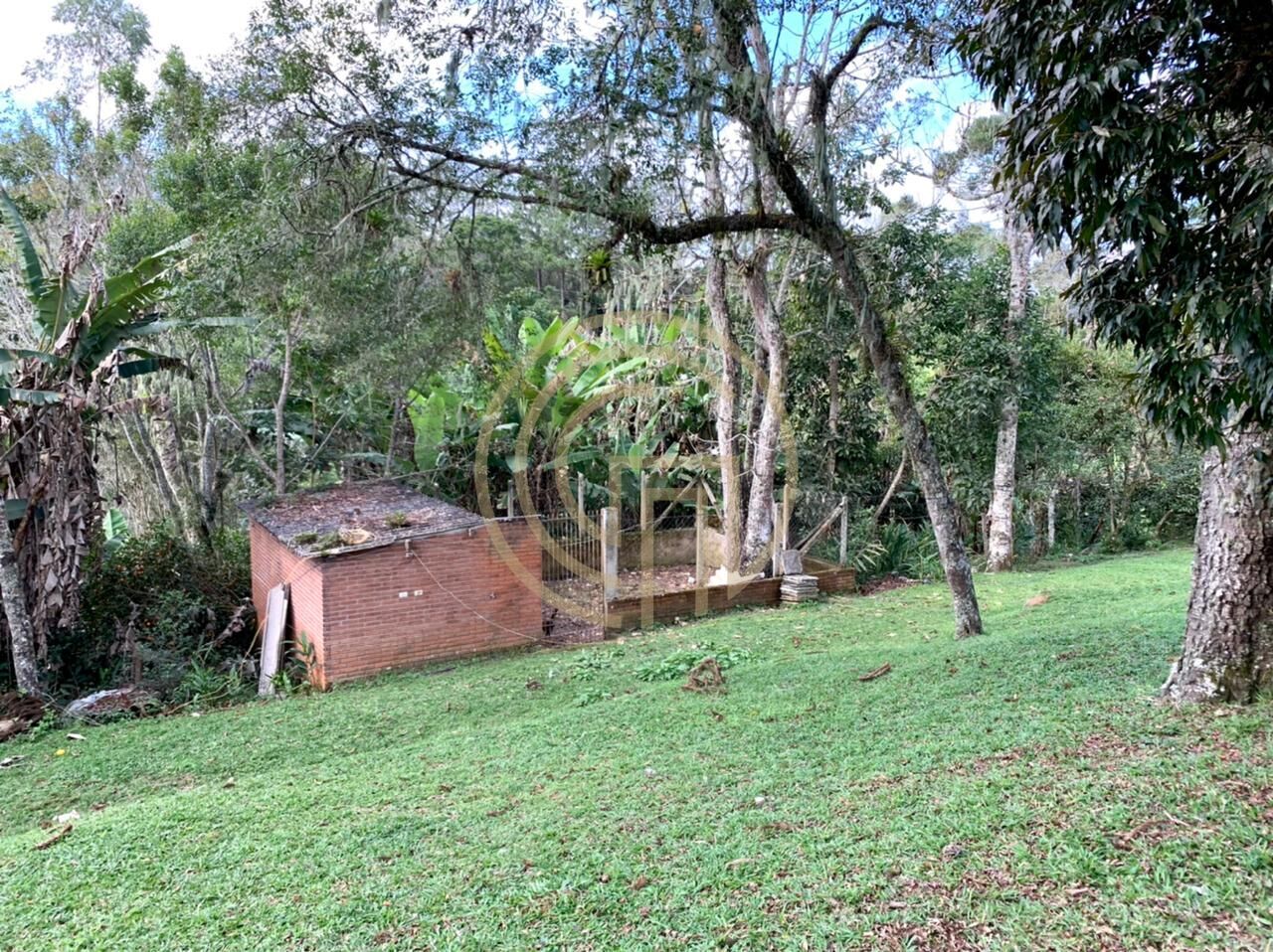 Chácara, 4 quartos, 4 hectares - Foto 13