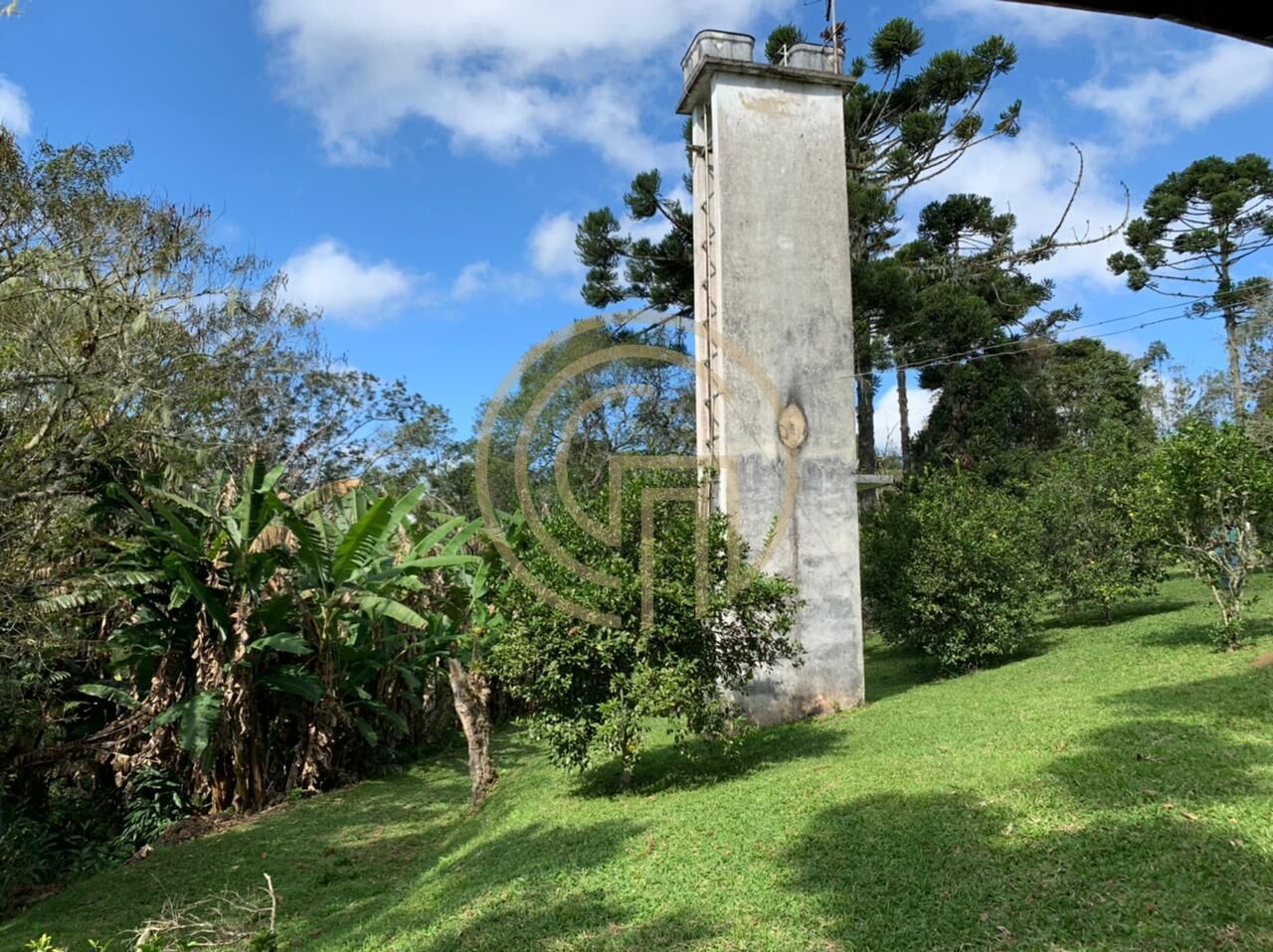 Chácara, 4 quartos, 4 hectares - Foto 12