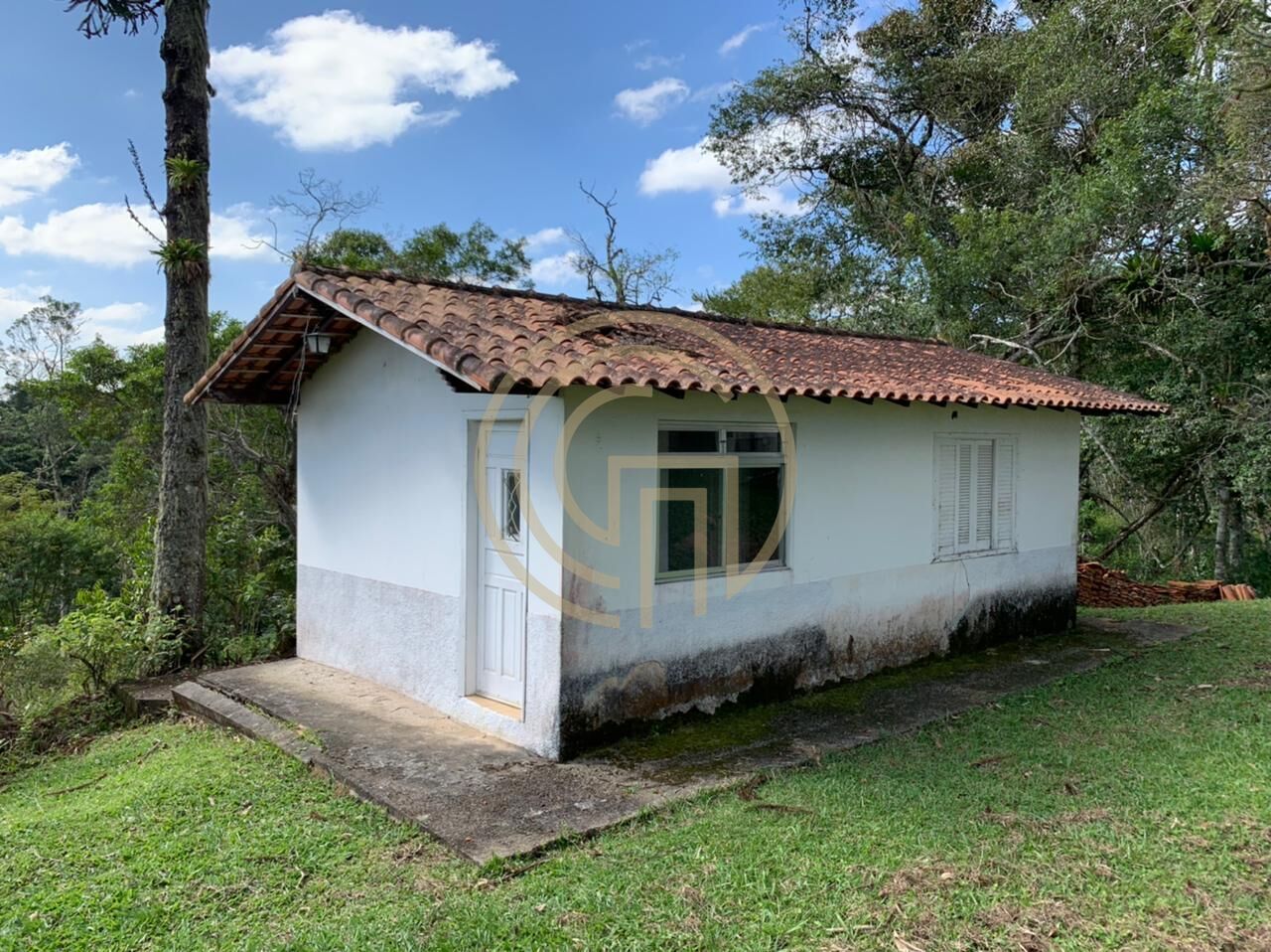 Chácara, 4 quartos, 4 hectares - Foto 10