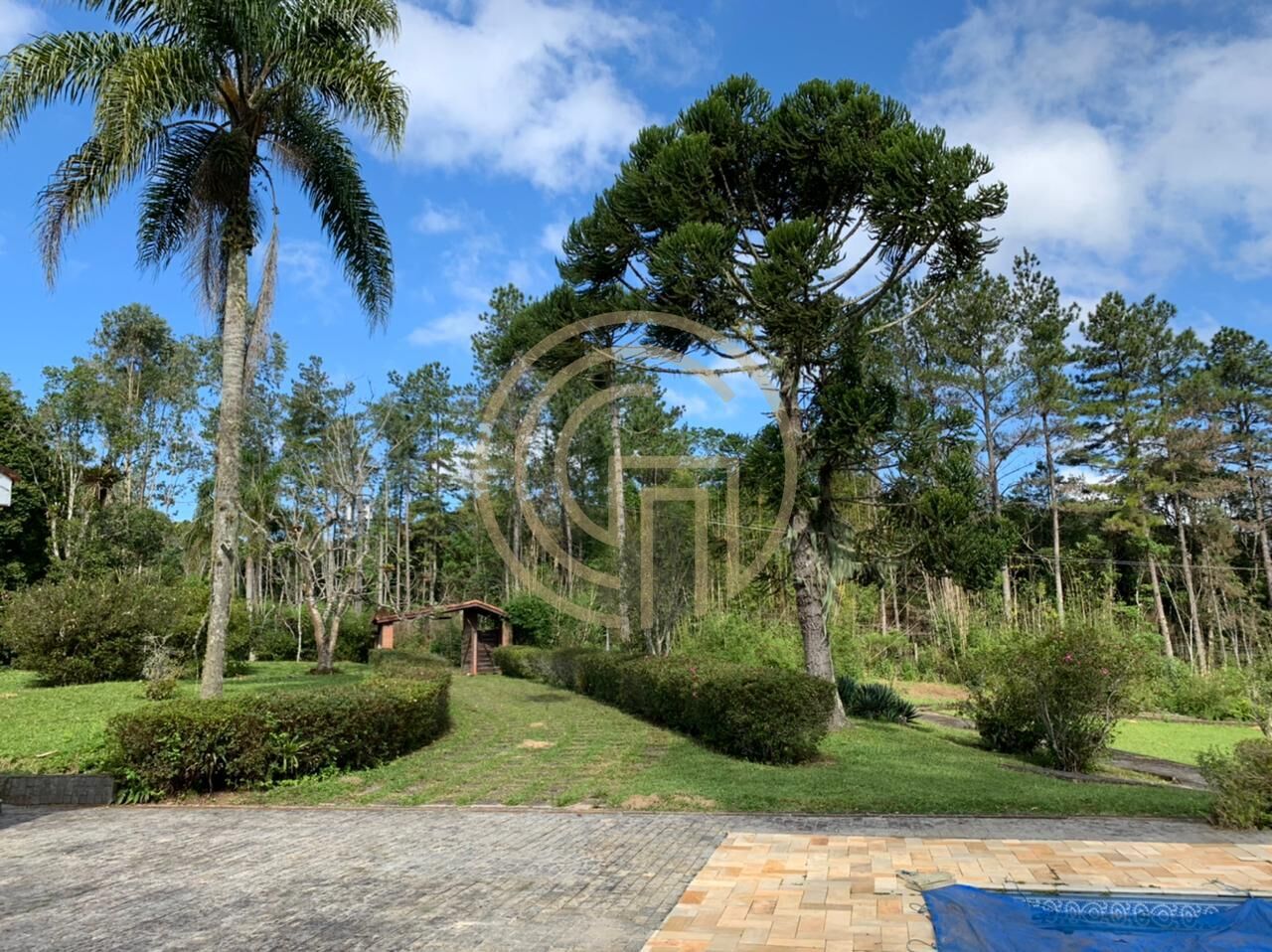 Chácara, 4 quartos, 4 hectares - Foto 6