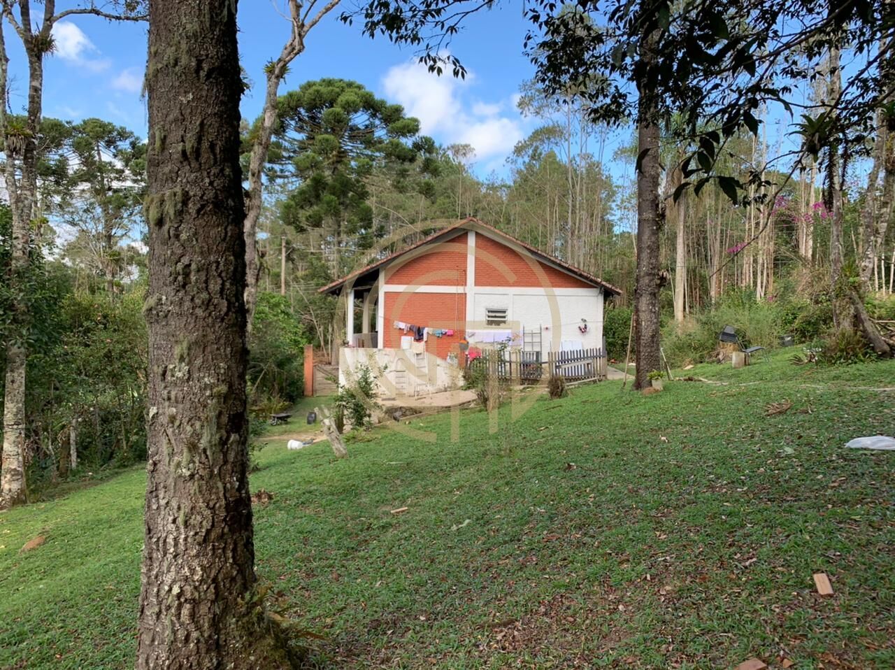 Chácara, 4 quartos, 4 hectares - Foto 11