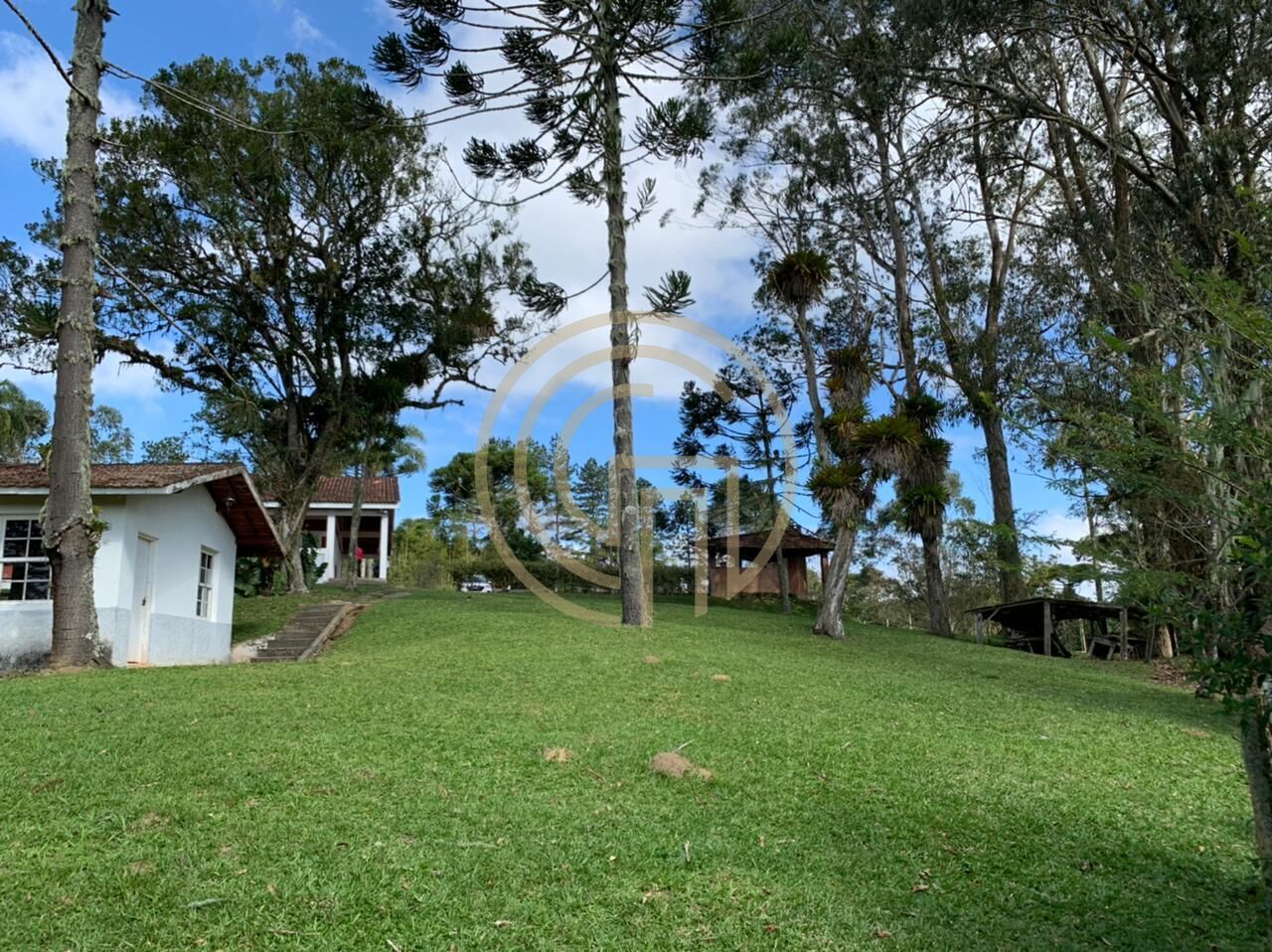 Chácara, 4 quartos, 4 hectares - Foto 5