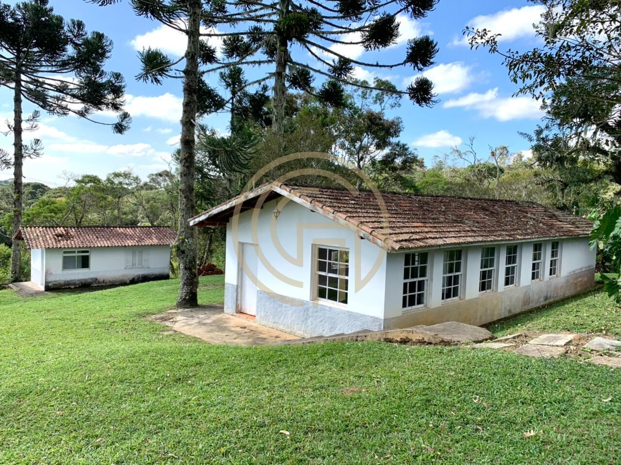 Chácara, 4 quartos, 4 hectares - Foto 3