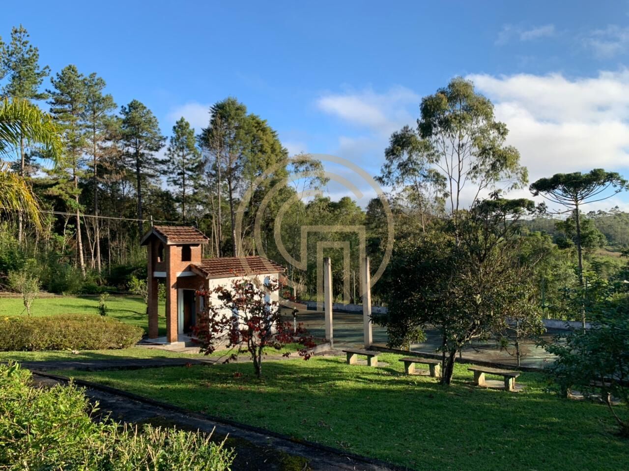 Chácara, 4 quartos, 4 hectares - Foto 4