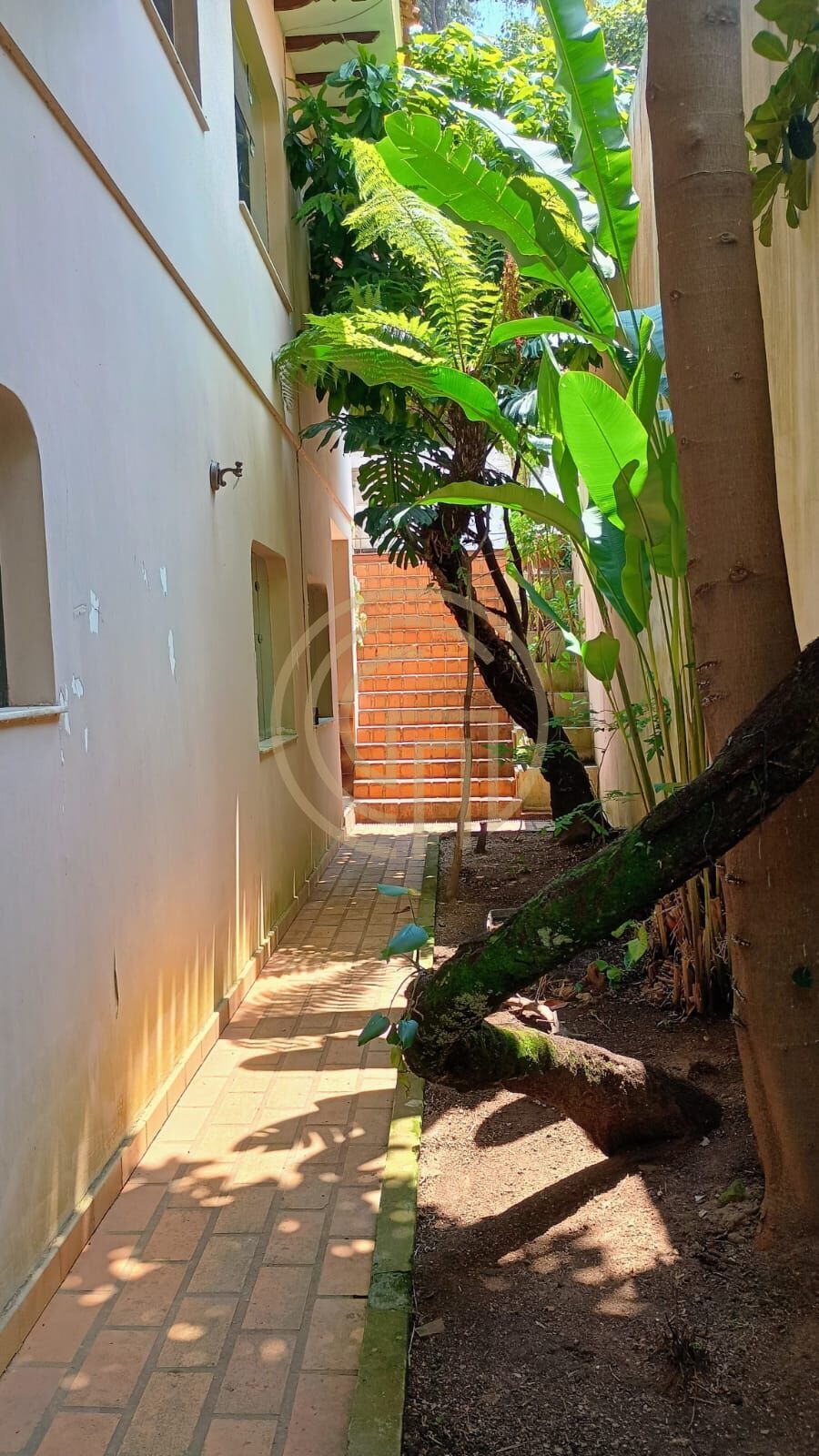 Casa, 4 quartos, 463 m² - Foto 14