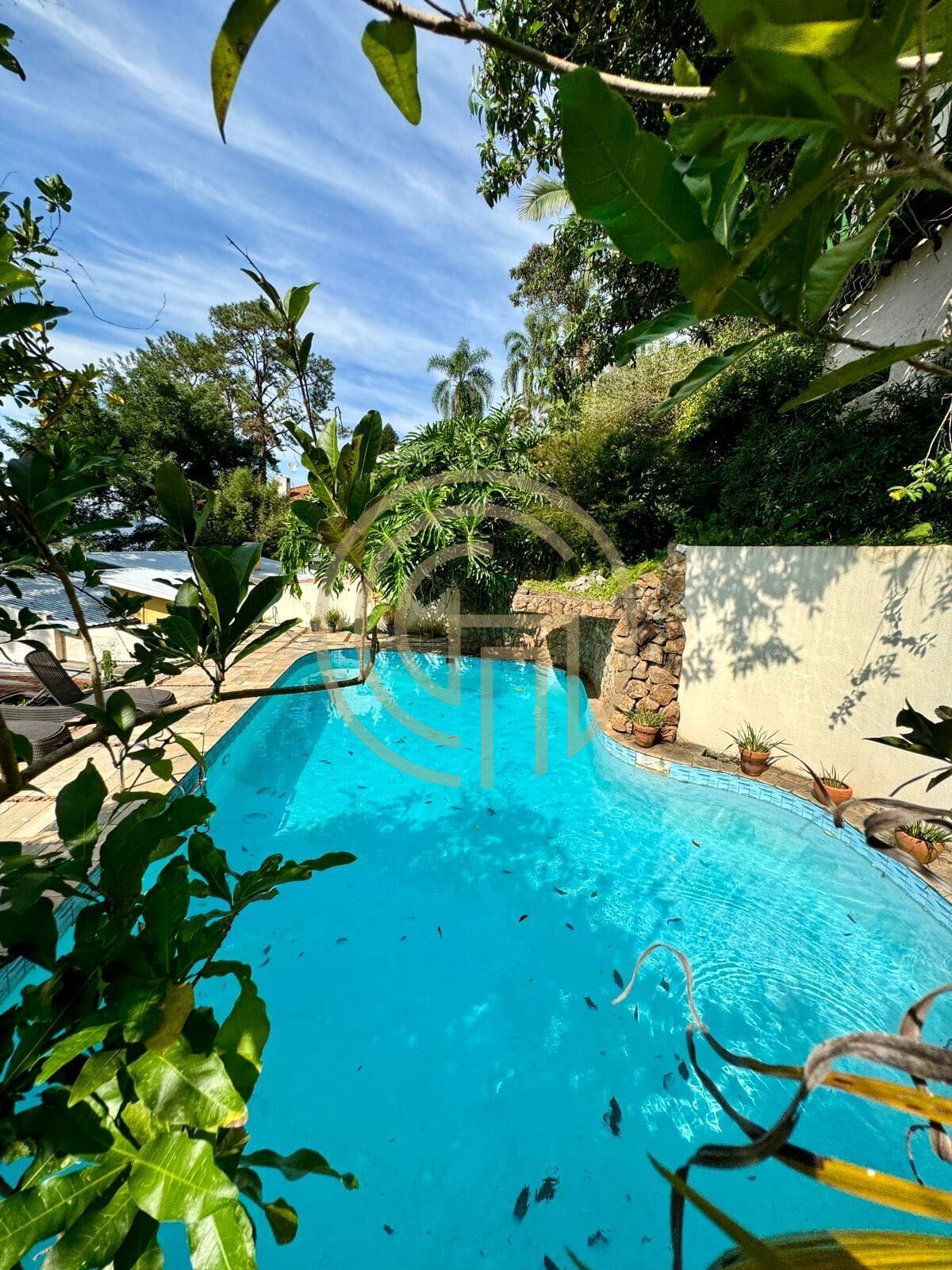 Casa, 5 quartos, 460 m² - Foto 18