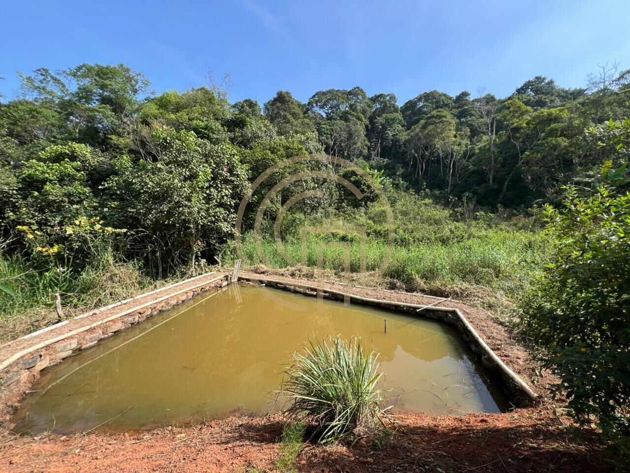 Chácara, 3 quartos, 7900 m² - Foto 11