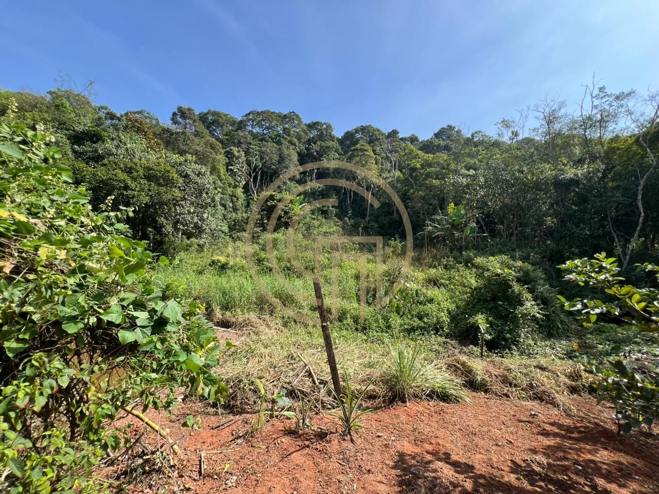 Chácara, 3 quartos, 7900 m² - Foto 16