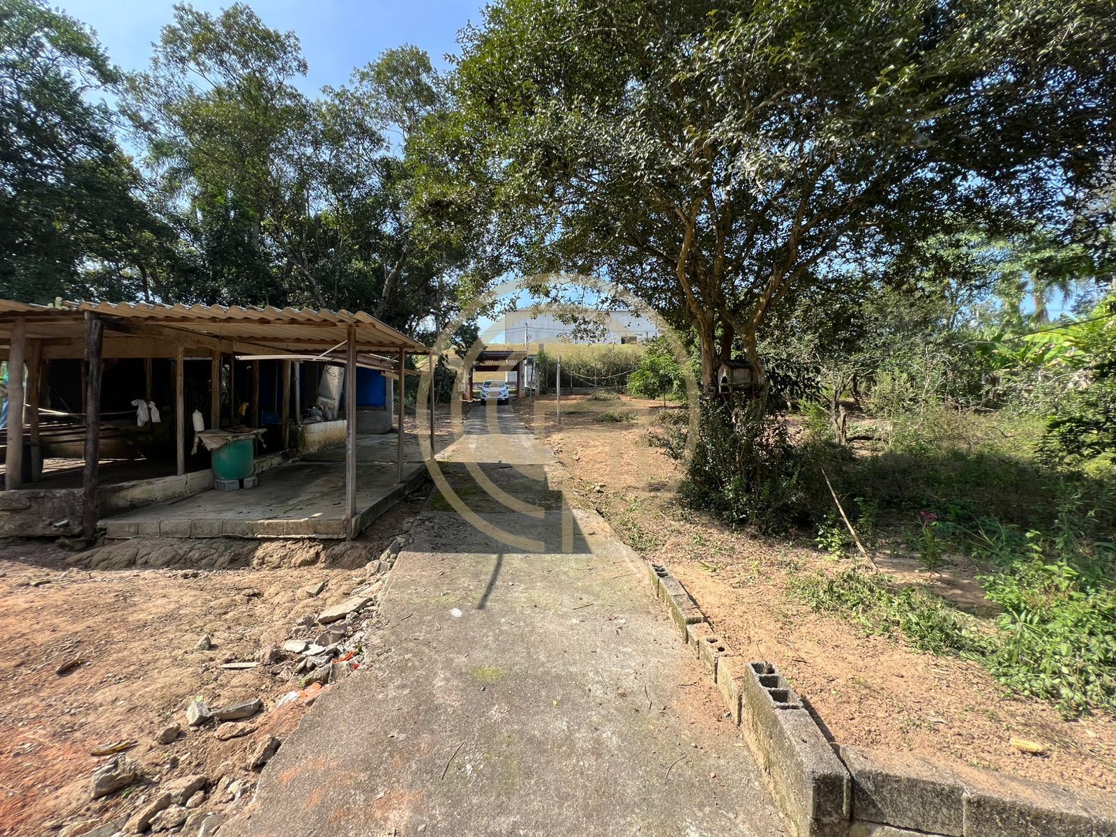 Chácara, 3 quartos, 7900 m² - Foto 3
