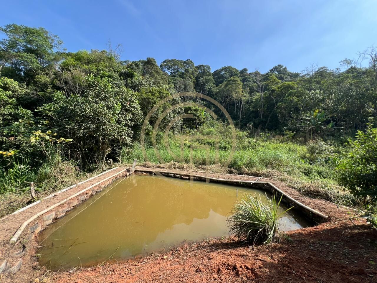 Chácara, 3 quartos, 7900 m² - Foto 12