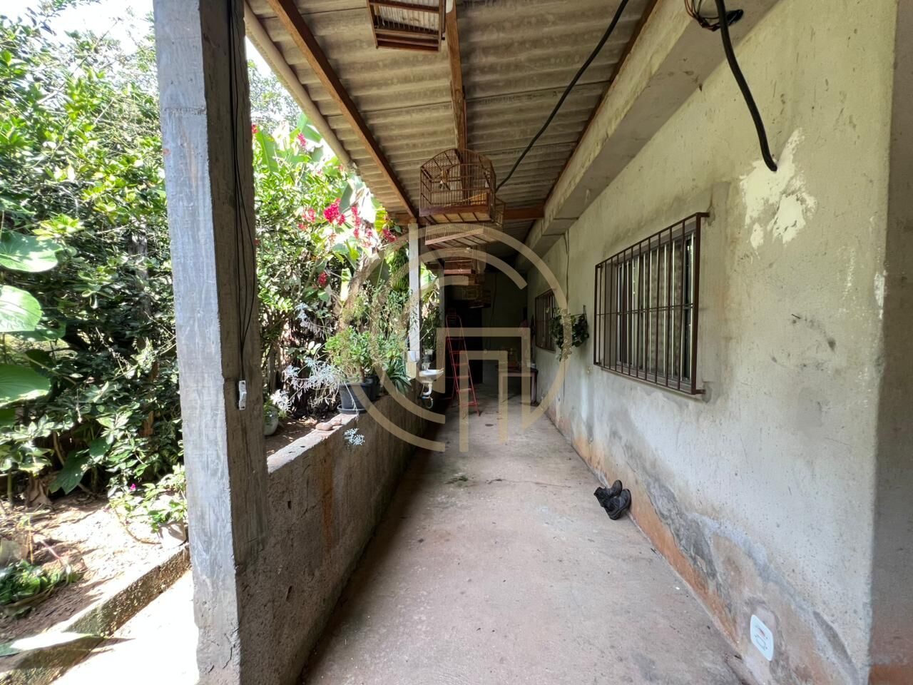 Chácara, 3 quartos, 7900 m² - Foto 6