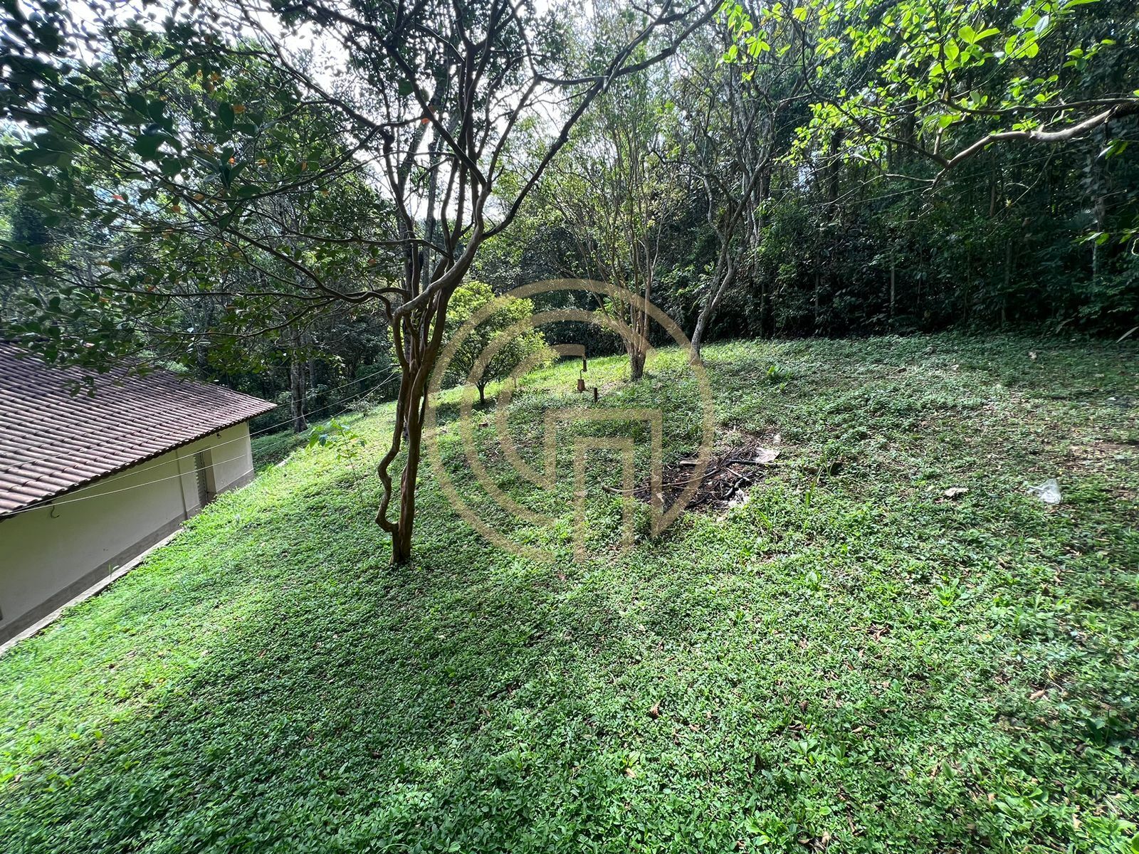 Chácara, 3 quartos, 4137 m² - Foto 16