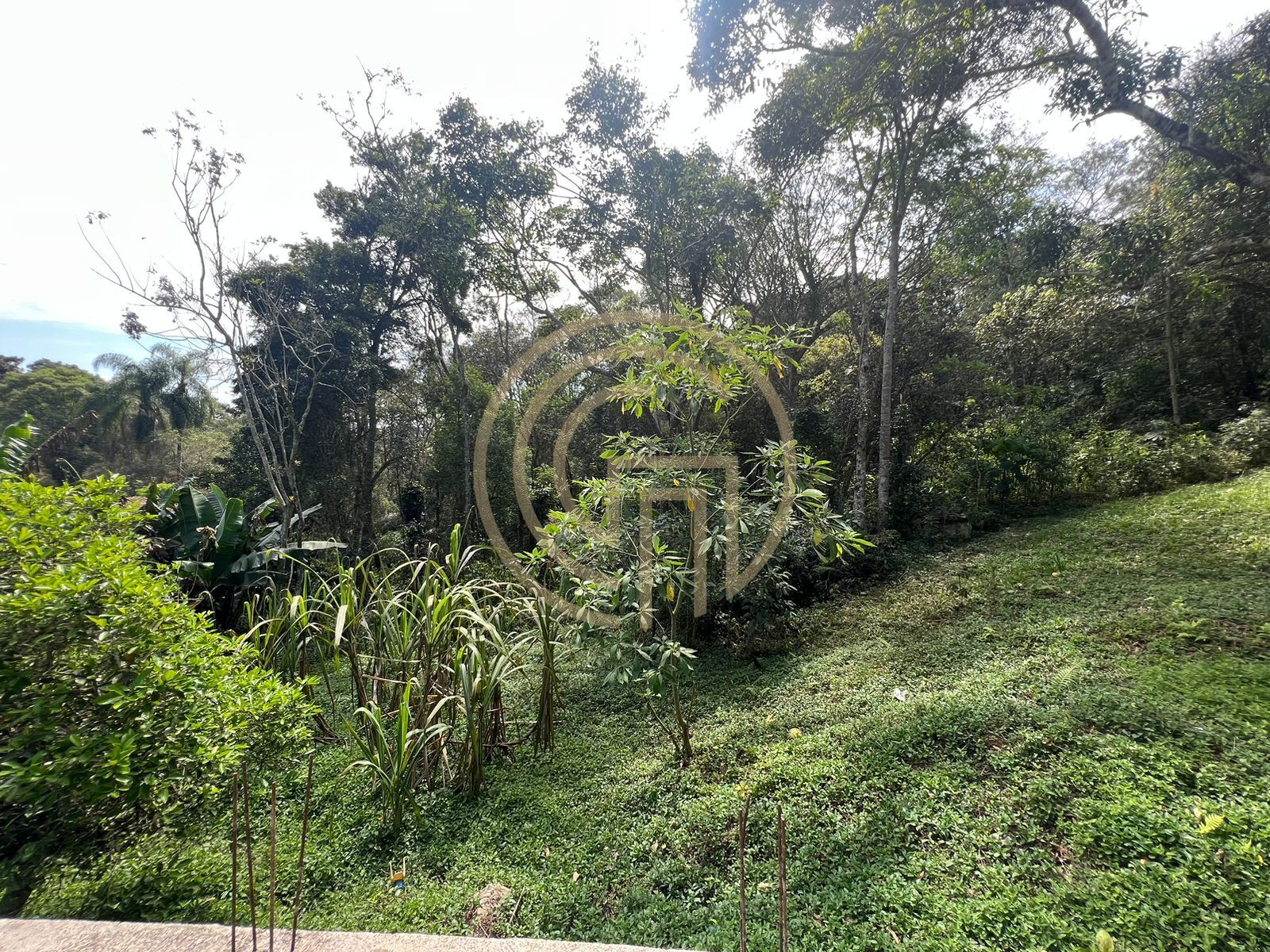 Chácara, 3 quartos, 4137 m² - Foto 17