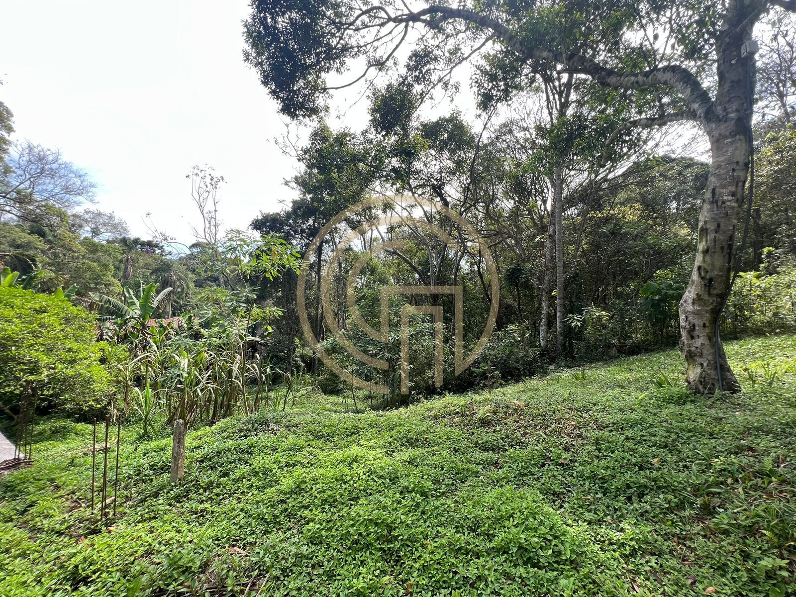 Chácara, 3 quartos, 4137 m² - Foto 18