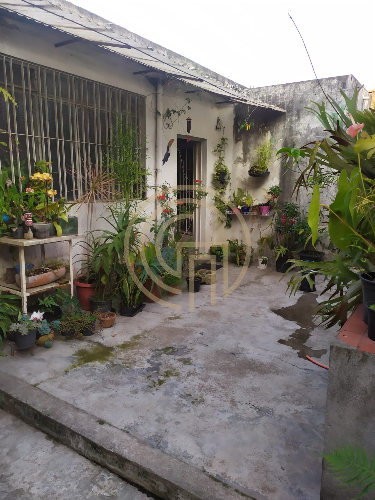 Casa, 3 quartos, 250 m² - Foto 3