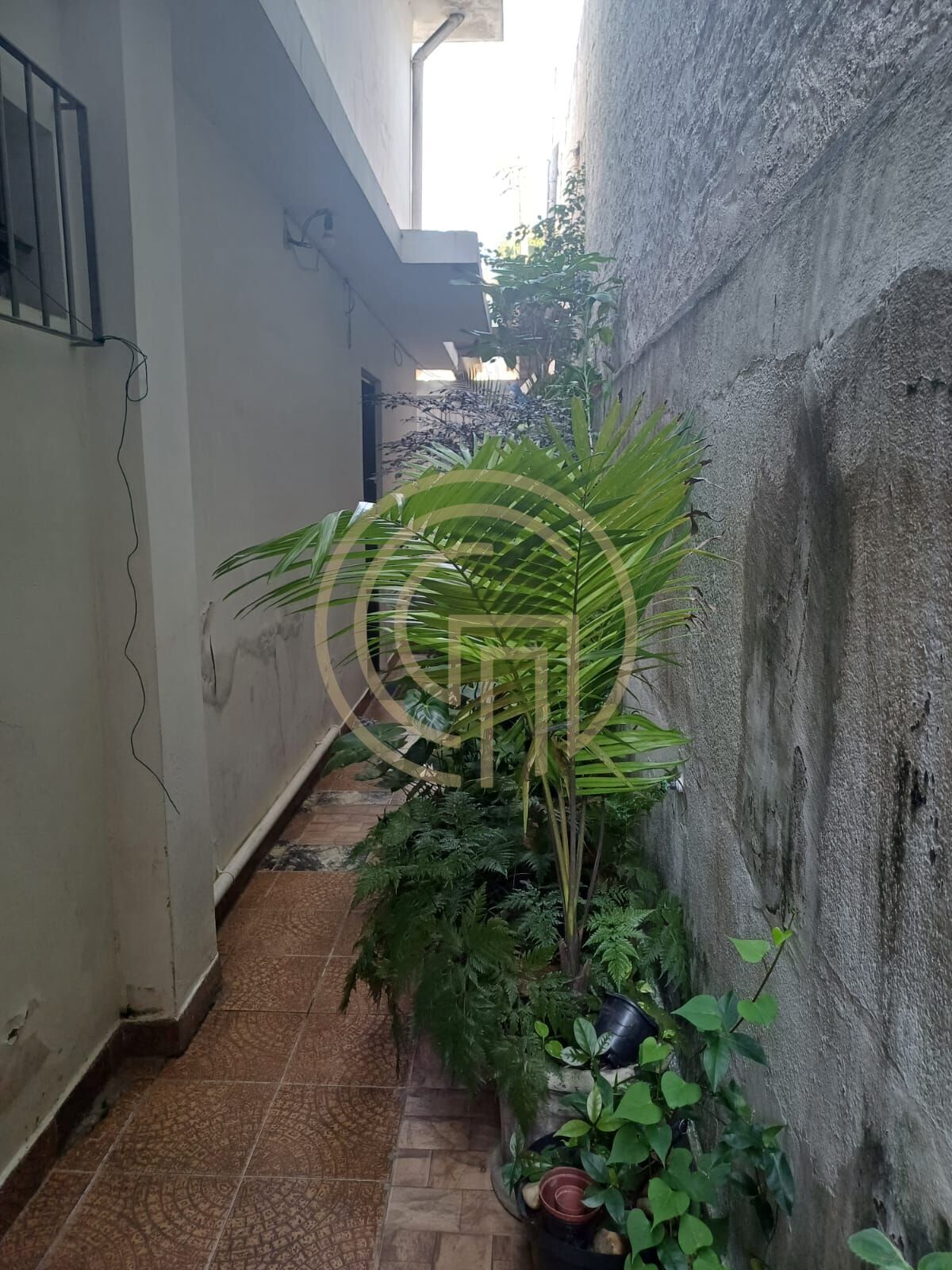 Casa, 3 quartos, 225 m² - Foto 17