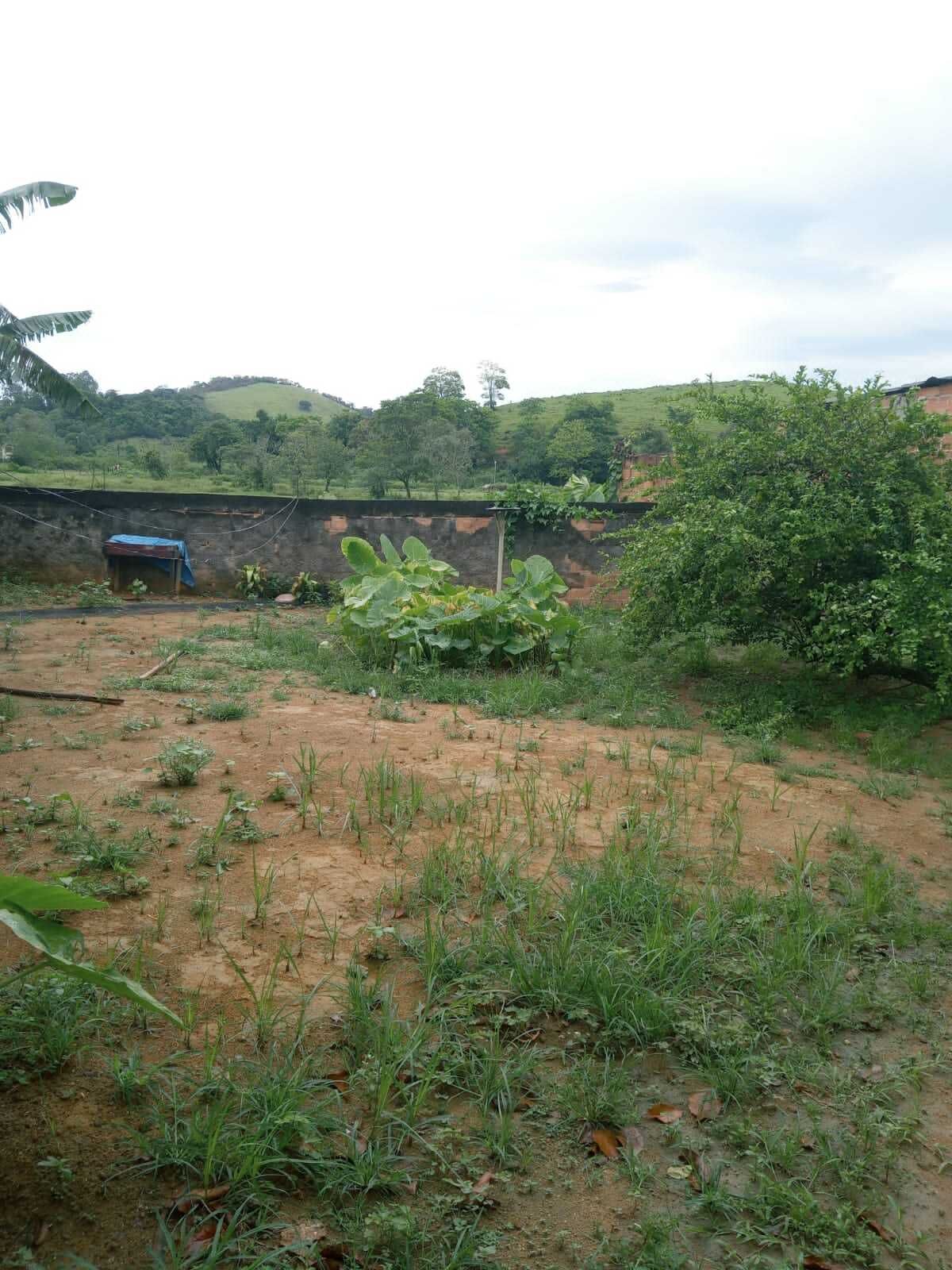 Terreno à venda, 300m² - Foto 2