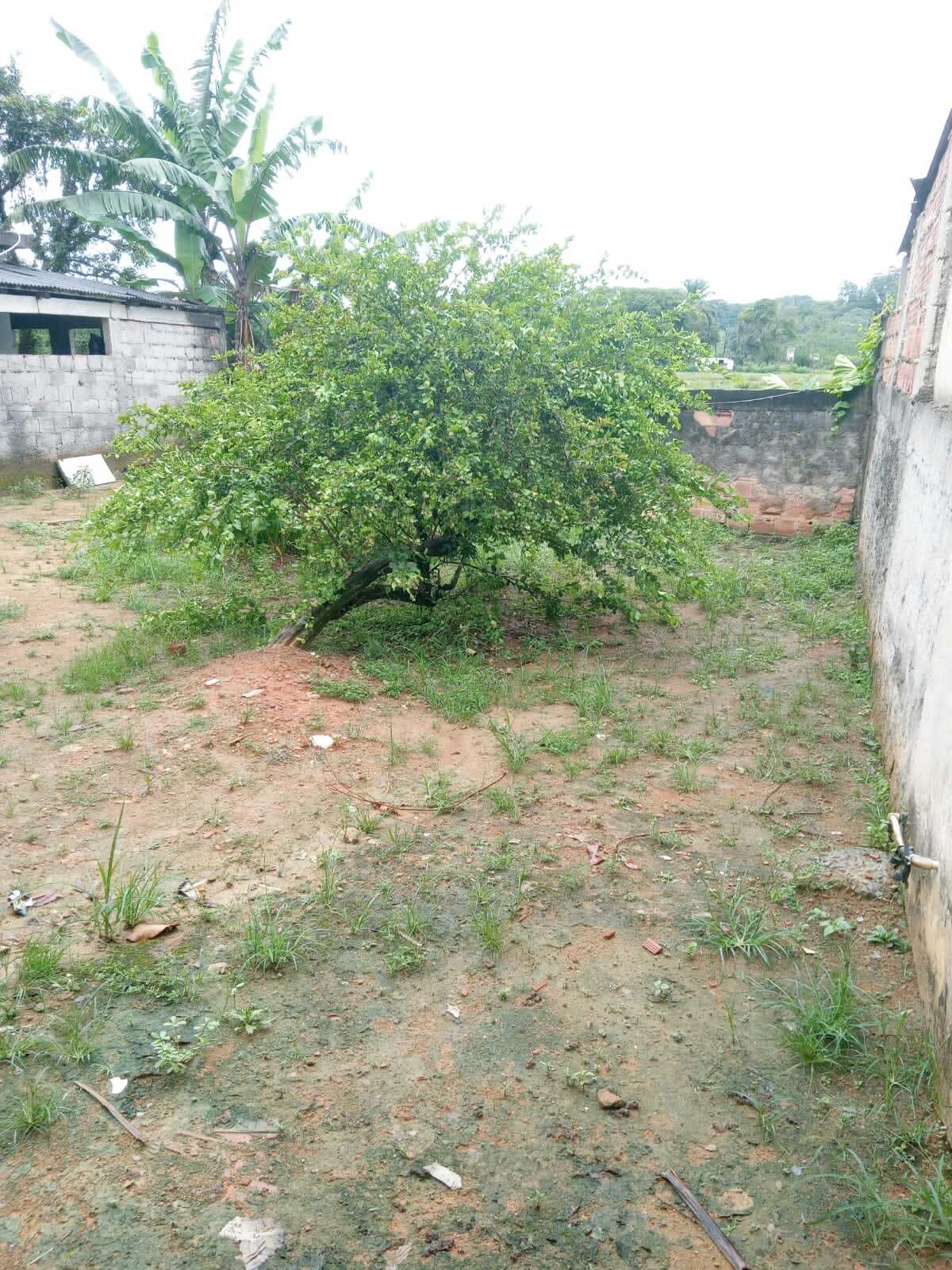 Terreno à venda, 300m² - Foto 3