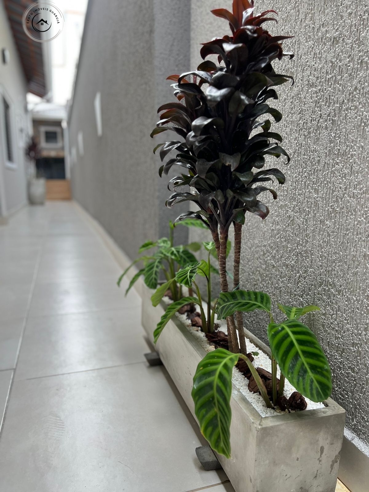 Linda casa térrea alto padrão de 03 dormitórios para venda n