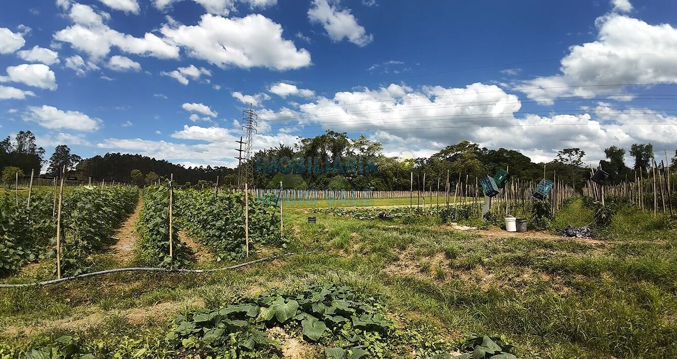 Terreno perfeito para comprar em Indaial — foto 4