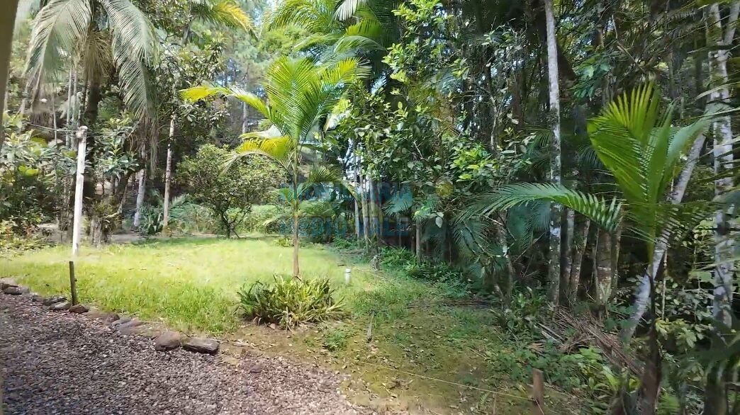 Sítio para comprar em Indaial/SC — foto 7