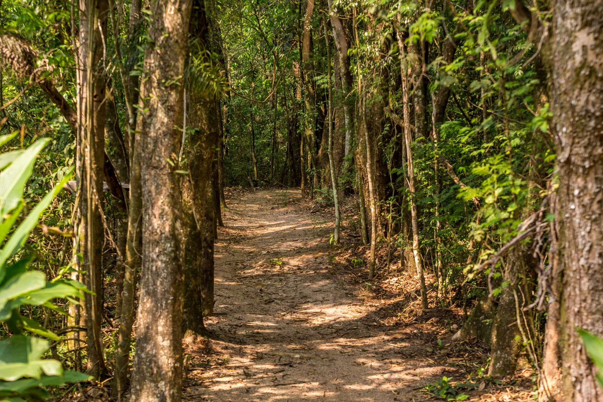 Casa de Condomínio, 3 quartos - Foto 37