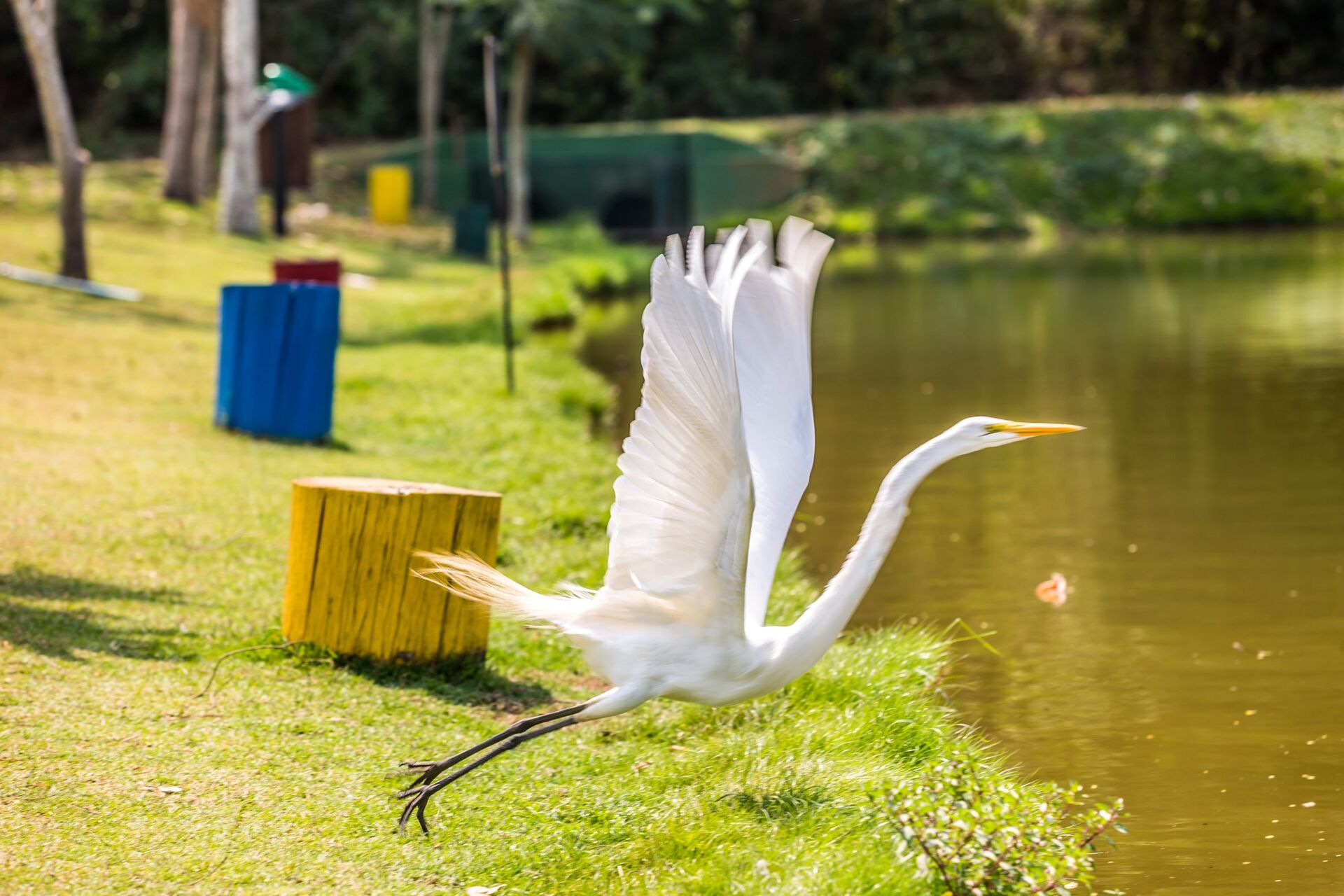 Casa de Condomínio, 3 quartos - Foto 32