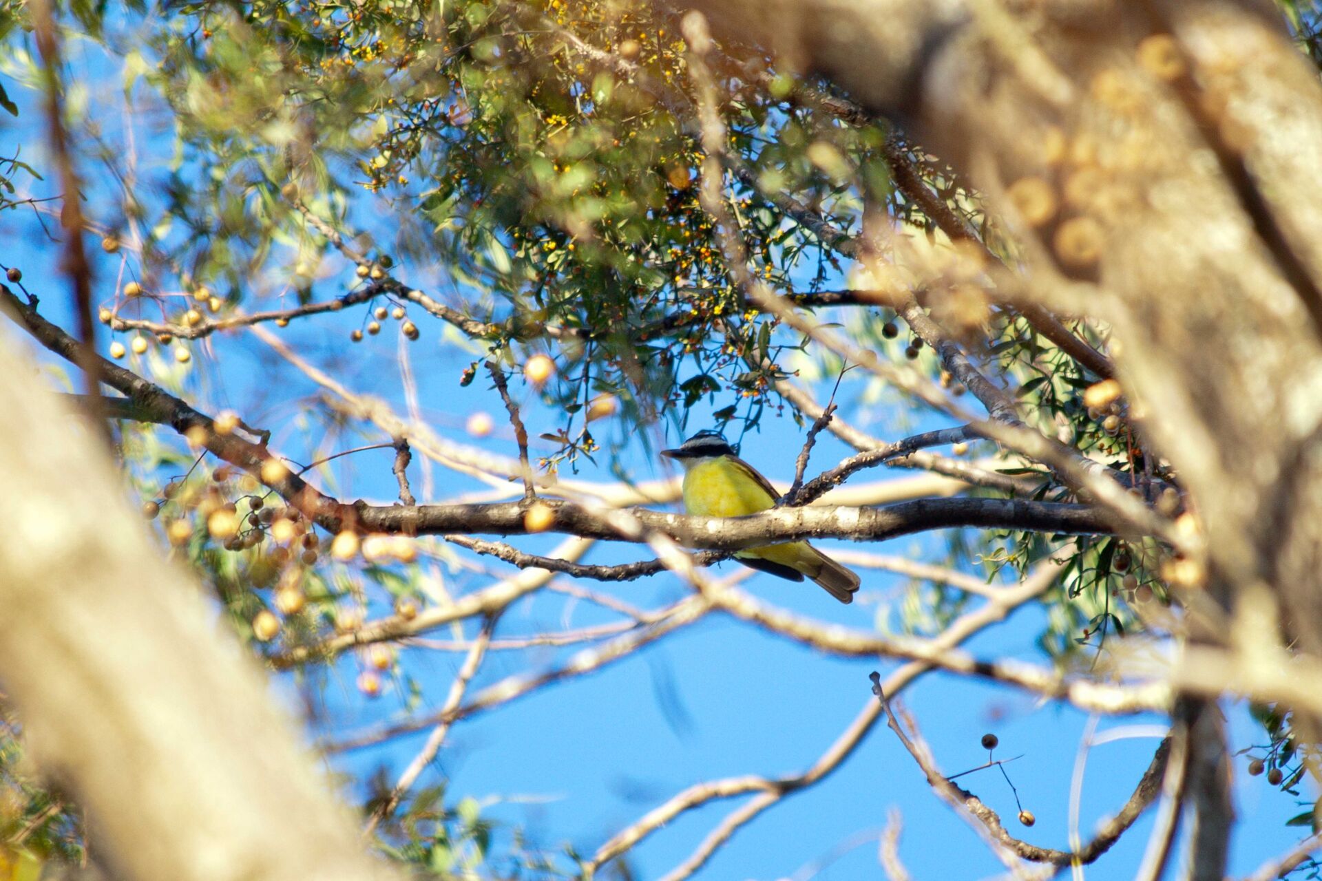 Casa de Condomínio, 3 quartos - Foto 38